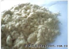 飼料產品信息中心 連接全球飼料產業，助力畜牧業發展