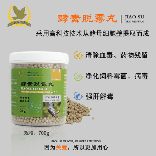 凱鴿鴿藥 高效凈化飼料霉菌與病毒的守護者