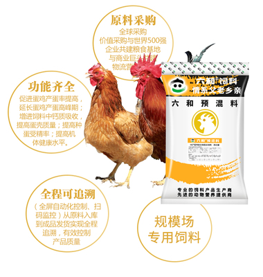 新希望六和5%蛋雞高峰期飼料 助力高產穩產的精準營養方案