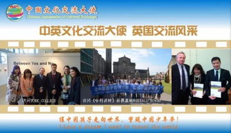 融匯中西，傳遞友誼——第五屆中國文化交流大使選拔活動(dòng)組織策劃文化藝術(shù)交流活動(dòng)紀(jì)實(shí)