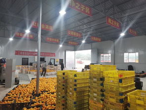 南溪區(qū)江南鎮(zhèn)農(nóng)產(chǎn)品初加工廠 熱火朝天促加工，農(nóng)副產(chǎn)品暢銷路