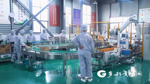 安順155名產(chǎn)業(yè)村長點燃鄉(xiāng)村振興新引擎，農(nóng)副產(chǎn)品暢銷富鄉(xiāng)惠民利企