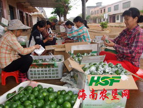 東昌農(nóng)產(chǎn)品收購市場聚財氣，助力農(nóng)副產(chǎn)品銷售興旺