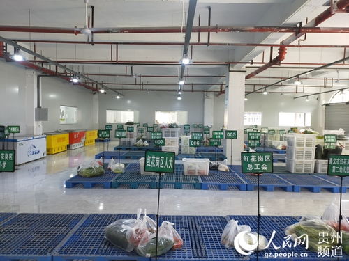 紅花崗區(qū)農(nóng)產(chǎn)品產(chǎn)銷對接智慧服務(wù)中心首日運(yùn)營成效顯著，發(fā)貨量達(dá)40余噸