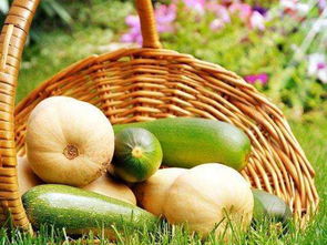 立足田間地頭，胸懷星辰大海 農(nóng)產(chǎn)品電商創(chuàng)業(yè)者的心態(tài)修煉與收購(gòu)之道