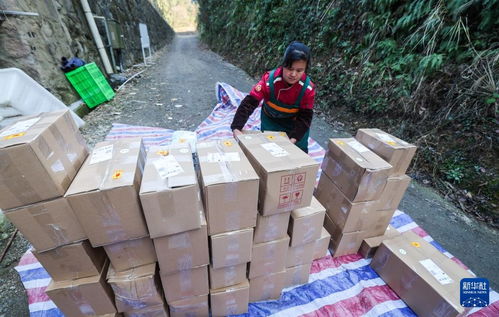 浙江淳安 傳統(tǒng)農(nóng)產(chǎn)品走俏年貨市場(chǎng)，山珍好味帶動(dòng)農(nóng)副產(chǎn)品銷售熱潮